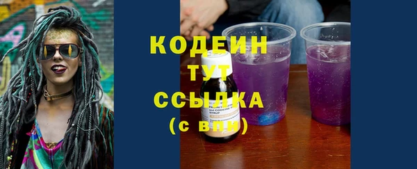 ГАЛЛЮЦИНОГЕННЫЕ ГРИБЫ Аркадак