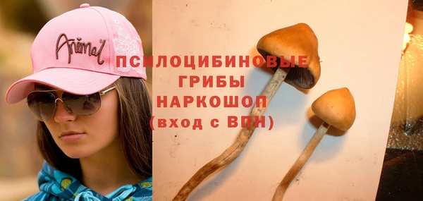 соль курить ск Арсеньев