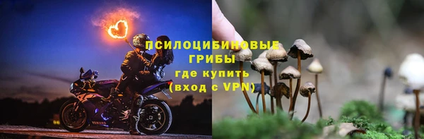 скорость Алзамай