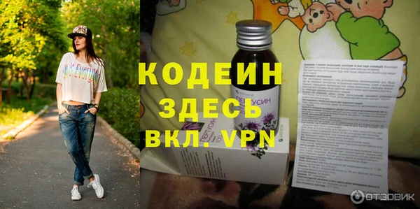 прущие грибы Ельня