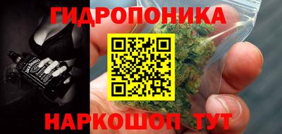 бошки Новокубанск