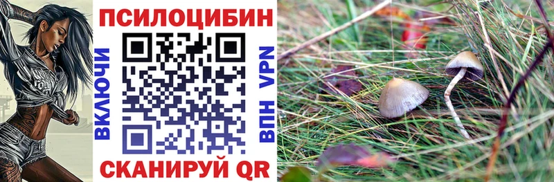 купить наркотики сайты  Родники  Галлюциногенные грибы Magic Shrooms 