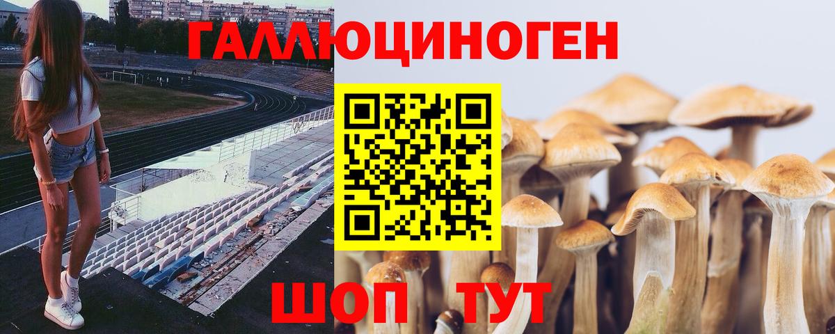 Родники  Псилоцибиновые грибы мицелий  Вход с VPN  Галлюциногенные грибы мицелий 