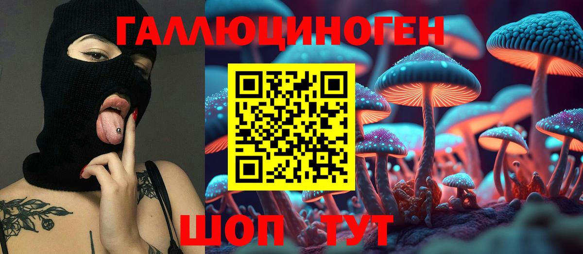 Галлюциногенные грибы Cubensis Родники