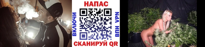 Бошки марихуана Ganja  ОМГ ОМГ ТОР  Родники 
